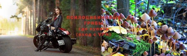 каннабис Вяземский